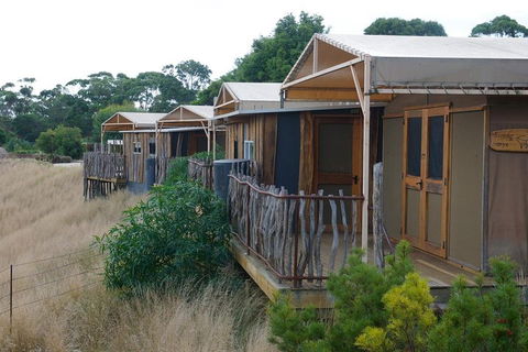 Slumber Safari At Werribee Open Range Zoo - Australian Directory 4