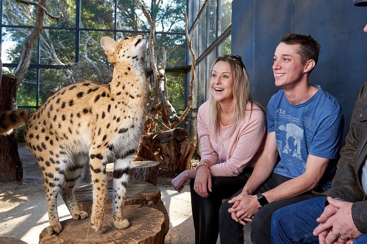  Australian Directory