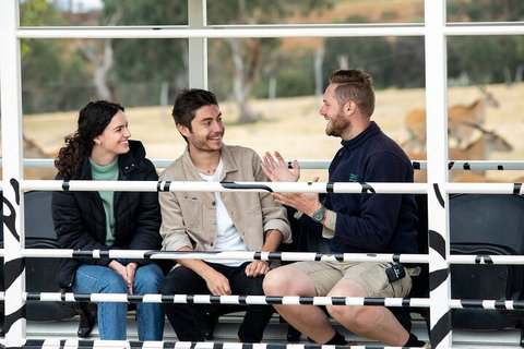 Early Morning Savannah Experience - Australian Directory 4