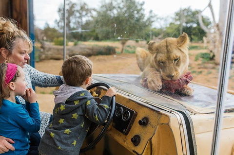 Werribee Open Range Zoo General Admission Ticket - Australian Directory 4