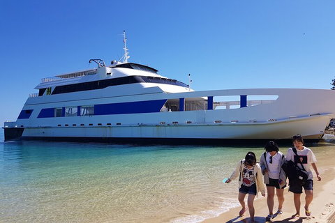 Moreton Island Day Trip (Kayak, Snorkel & Sandboard) Frm Brisbane Or Gold Coast - Australian Directory 0