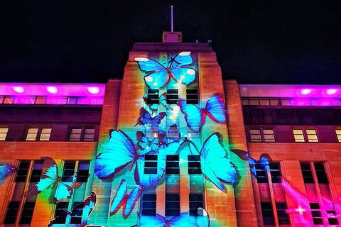 Vivid 90-Minute Sydney Harbour Small Group Catamaran Cruise - Australian Directory 0