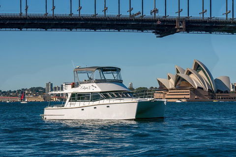 Vivid 90-Minute Sydney Harbour Small Group Catamaran Cruise - Australian Directory 2
