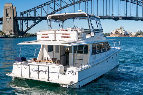 Vivid 90-Minute Sydney Harbour Small Group Catamaran Cruise - Australian Directory 4