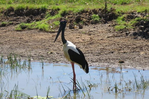 Darwin To Kakadu Day Trip By Air Including Yellow Water Cruise - Australian Directory 0