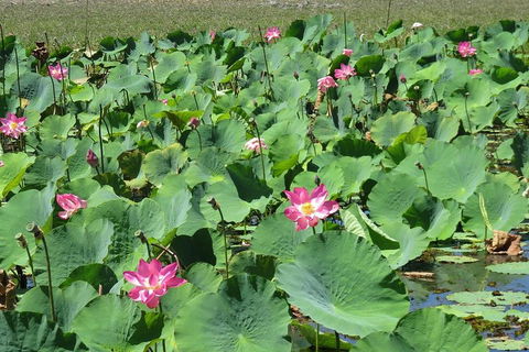 Darwin To Kakadu Day Trip By Air Including Yellow Water Cruise - Australian Directory 2