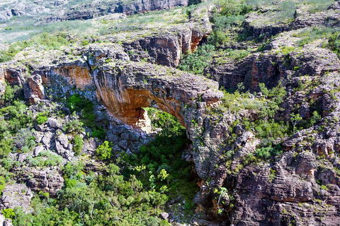 Darwin To Kakadu Day Trip By Air Including Yellow Water Cruise - Australian Directory 4
