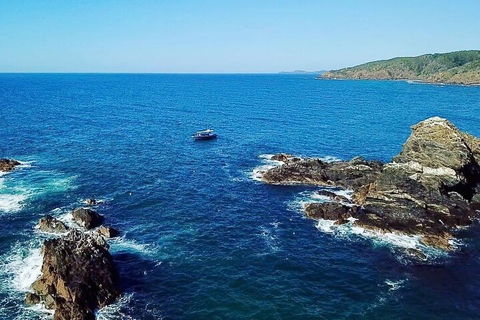 Julian Rocks Byron Bay Cruise - Australian Directory 0
