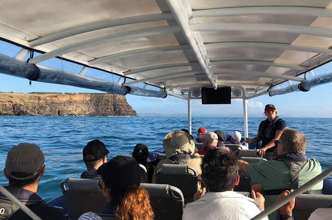 Julian Rocks Byron Bay Cruise - Australian Directory 4