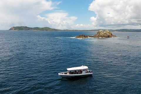Julian Rocks Byron Bay Cruise - Australian Directory 5