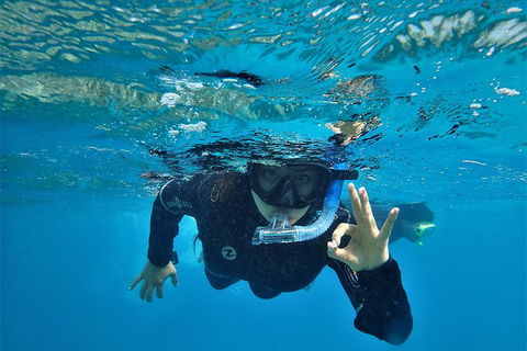 3 Day Whitsundays Sailing And Diving Adventure: Kiana - Australian Directory 0