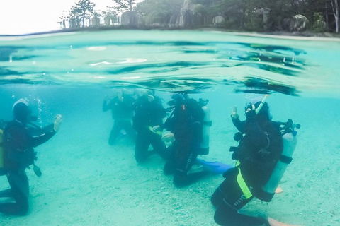 3 Day Whitsundays Sailing And Diving Adventure: Kiana - Australian Directory 4