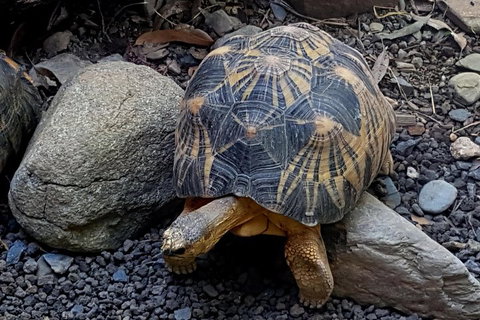 Hartley's Crocodile Adventures General Entry Ticket - Australian Directory 2