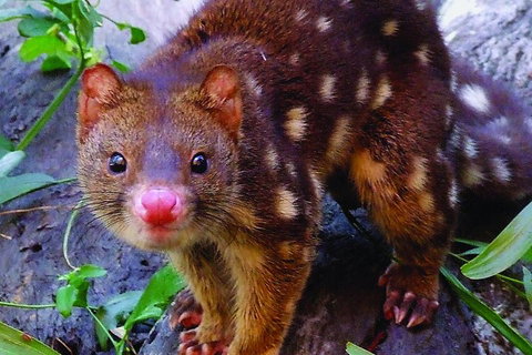 Hartley's Crocodile Adventures General Entry Ticket - Australian Directory 4