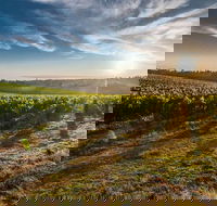 Perth to Margaret River Wine Tour - 2 Day Premium Boutique Wine Tour Experience - Australian Directory