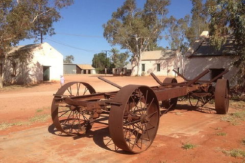 Palm Valley 4WD Day Tour - Australian Directory 0