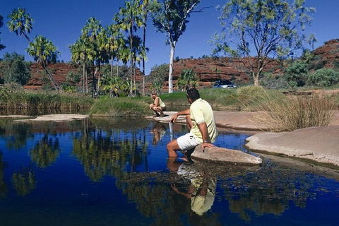 Palm Valley 4WD Day Tour - Australian Directory 1
