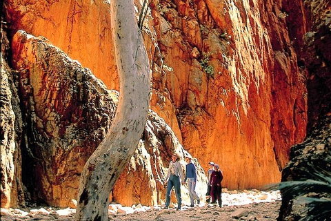West MacDonnell Ranges Day Trip From Alice Springs - Australian Directory 3