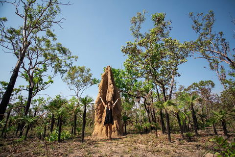 Litchfield National Park - Top End Day Tour From Darwin - Australian Directory 5