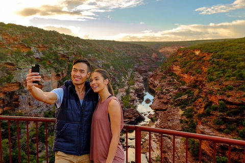 7-Day Exmouth Explorer Via Pinnacles Monkey Mia Ningaloo Reef Returning To Perth - Australian Directory 5