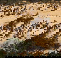 Pinnacles Sunset Dinner and Stargazing Experience a Small Group Tour - Australian Directory