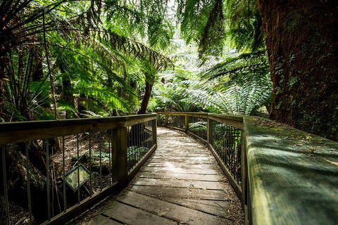 Melbourne To Adelaide South East Coast 3 Day Overland Tour - Australian Directory 1
