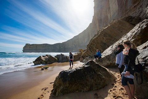 Small-Group Great Ocean Road And 12 Apostles Full-Day Tour From Melbourne - Australian Directory 1