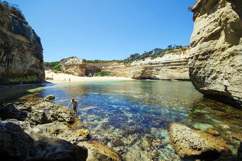 Small-Group Great Ocean Road And 12 Apostles Full-Day Tour From Melbourne - Australian Directory 5