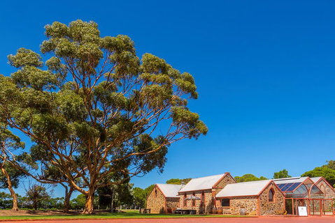 McLaren Vale And Glenelg Wine Tasting And Sightseeing (Half-day Afternoon) - Australian Directory 5