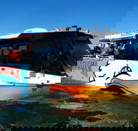 Paradise Jet Boating and Aquaduck Combo - Australian Directory