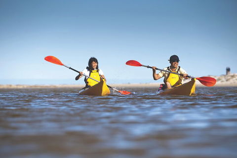 Kangaroo Island Self-Guided Kayaking On The Harriet River - Australian Directory 2