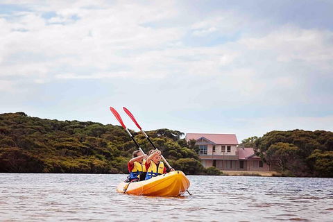 Kangaroo Island Self-Guided Kayaking On The Harriet River - Australian Directory 5