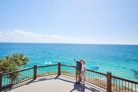 Noosa Everglades Serenity Cruise & Highlights Tour Inc. Lunch & Cruise - Australian Directory 3