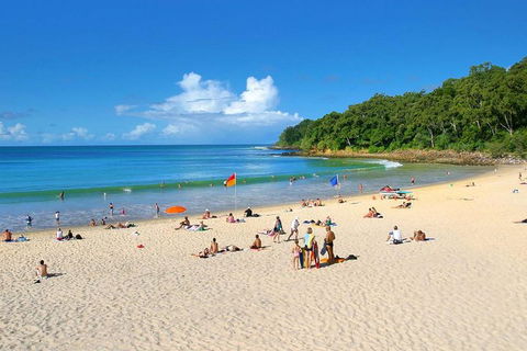 Noosa Everglades Serenity Cruise & Highlights Tour Inc. Lunch & Cruise - Australian Directory 4