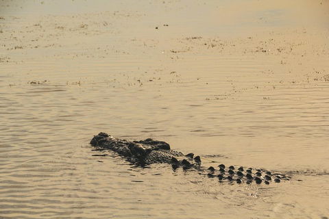 Yellow Water Cruise - Kakadu - Australian Directory 2