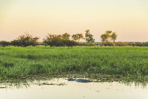 Yellow Water Cruise - Kakadu - Australian Directory 3