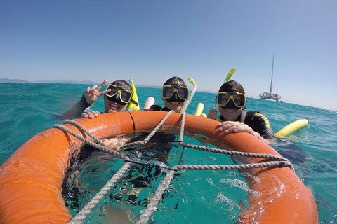 Full-Day Great Barrier Reef Sailing Trip - Australian Directory 0
