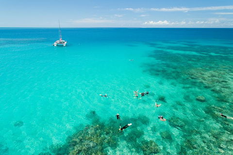 Full-Day Great Barrier Reef Sailing Trip - Australian Directory 2