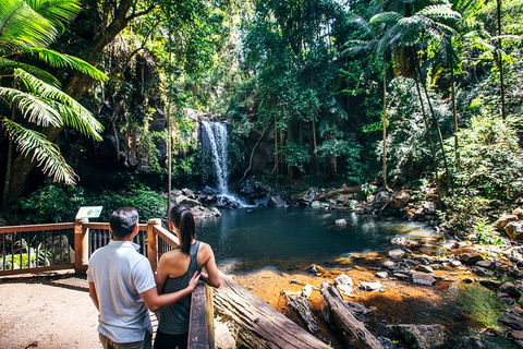 Aquaduck & Your Choice Of Gold Coast Rainforest Tour - Australian Directory 0