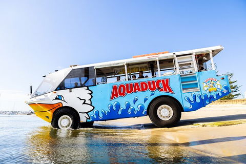 Aquaduck & Your Choice Of Gold Coast Rainforest Tour - Australian Directory 3