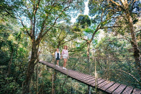 Aquaduck & Your Choice Of Gold Coast Rainforest Tour - Australian Directory 4