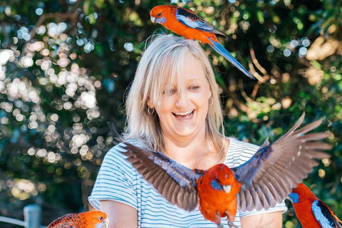 Aquaduck & Your Choice Of Gold Coast Rainforest Tour - Australian Directory 5