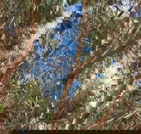 Kangaroo Island 4WD Tour - Best of KI in 2 Days - Australian Directory