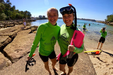 Manly Snorkel Trip And Nature Walk With Local Guide - Australian Directory 1