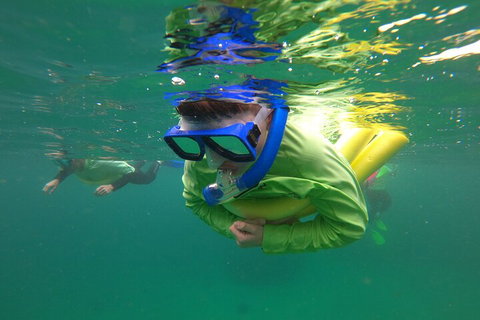 Manly Snorkel Trip And Nature Walk With Local Guide - Australian Directory 5