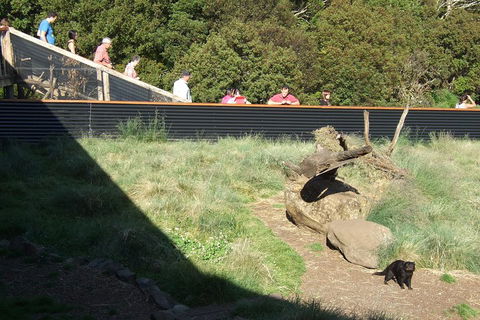 Day Keeper Tour - Australian Directory 2