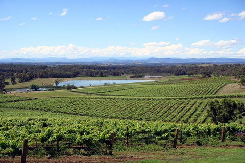Private Hunter Valley Wine-Tasting Day Tour From Sydney - Australian Directory 0