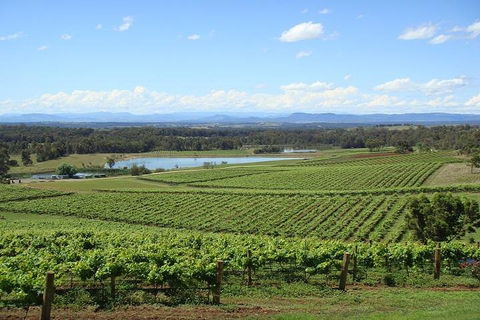 Private Hunter Valley Wine-Tasting Day Tour From Sydney - Australian Directory 1