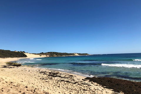 3d/2n Themed Camping Getaway - Private Campgrounds And National Parks - Australian Directory 3
