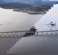 30-Minute Hobart Scenic Flight